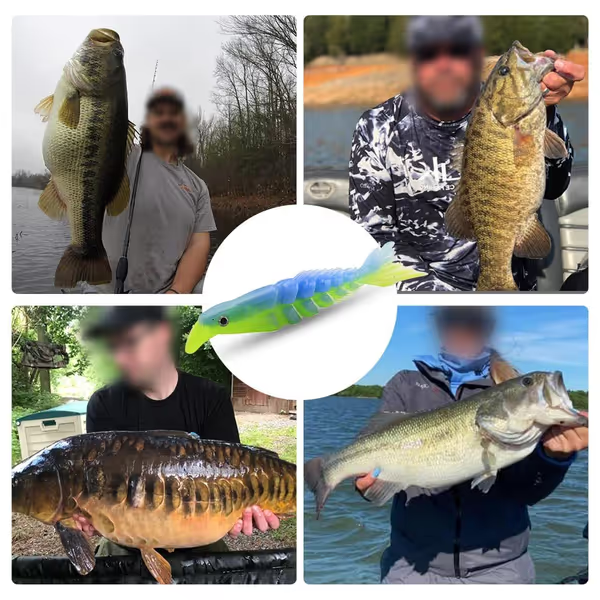 🐟Multi Segments Soft Lures