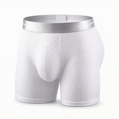 🏆45K+ SOLD 🔥2026 HOT SALE AirSorb™ Premium All-Day Comfort IceSilk Mesh Men's Boxer