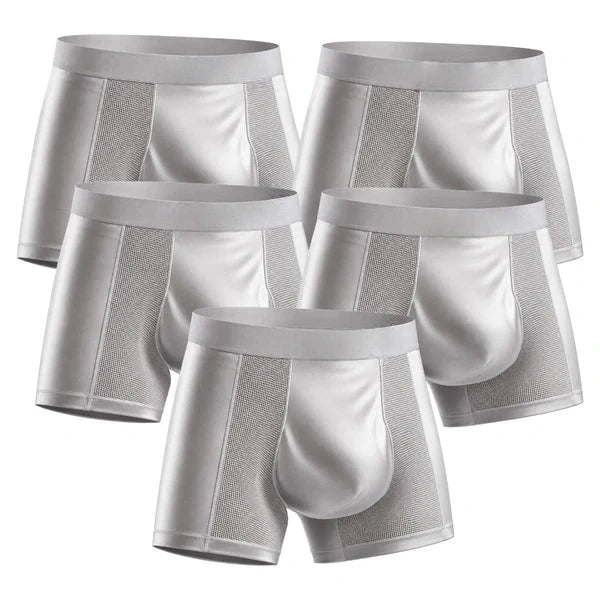【Buy 3 Get 2 Free】-2026 HOT SALE🔥 Premium Leakproof Bamboo IceSilk Boxer