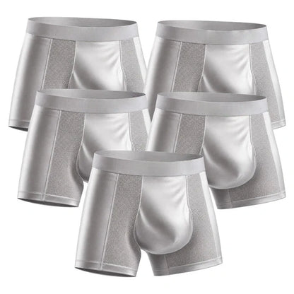 【Buy 3 Get 2 Free】-2026 HOT SALE🔥 Premium Leakproof Bamboo IceSilk Boxer