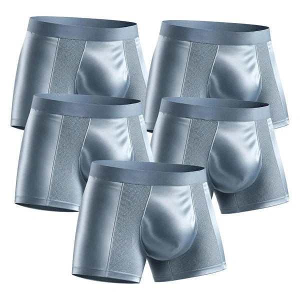【Buy 3 Get 2 Free】-2026 HOT SALE🔥 Premium Leakproof Bamboo IceSilk Boxer
