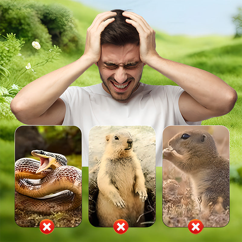 Solar Ultrasonic Outdoor Animal Repellent